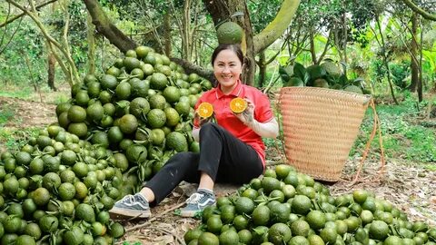 Sự Bùng Nổ Của Video Ngắn và Trí Tuệ Nhân Tạo: Vai Trò Thiết Yếu Của Đào Tạo Kỹ Năng Sáng Tạo Nội Dung
