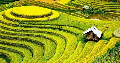 Năm 2025, giáo viên được nghỉ hè bao lâu?